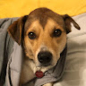 Meet your Posher, Joelle